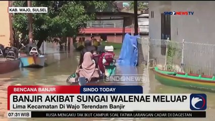 2 Bulan Terendam Banjir, Begini Kondisi Ratusan Rumah di Wajo, Sulawesi Selatan