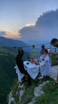 Why do cats jump in the water instead of coming up