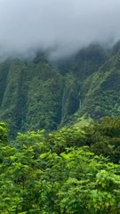 LES PLUS BELLES randos nature à faire à Hawaï