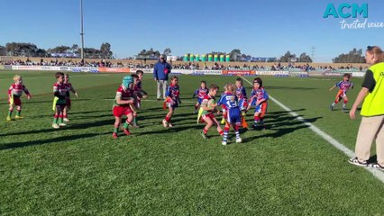 NRLW Trail: Canberra Raiders vs Newcastle Knights in Wagga 🏉