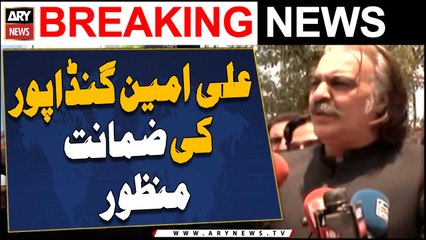 Court grants bail to Ali Amin Gandapur