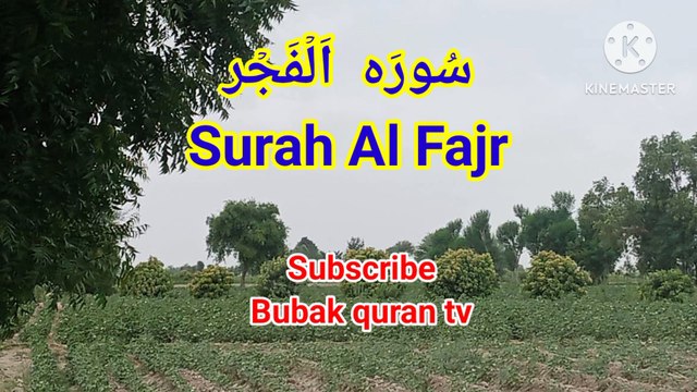 Surah Al Fajr | Tilawat quran pak | quran recitation |learn quran |