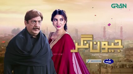 Jeevan Nagar | Episode 24 | Rabia Butt | Sohail Ahmed