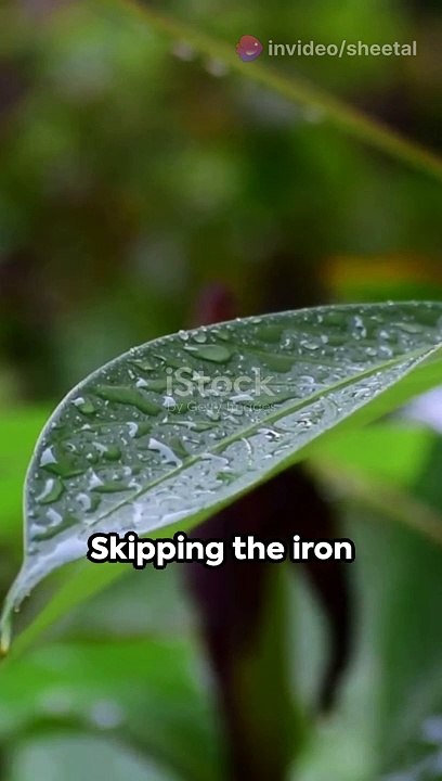 Unwrinkle Savings_ Water & Iron