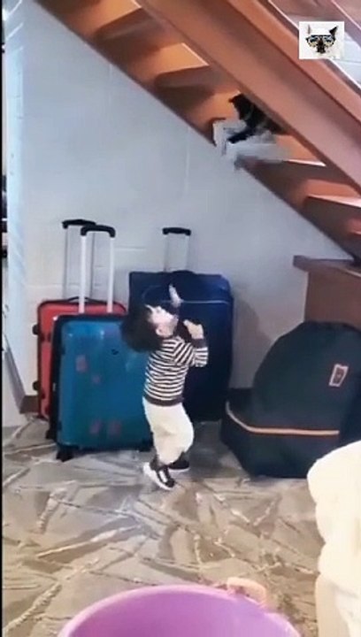 Children and cats - cats and dogs funny videos  Веселые животные
