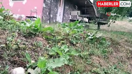Düzce'de Kaçak Elektrik Kullanan Şahıs, Elektriğini Kesmeye Gelen Personele Tüfekle Tehditler Savurdu