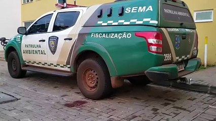 Motociclista é detido pela GM após transitar em alta velocidade e recusar teste etilométrico