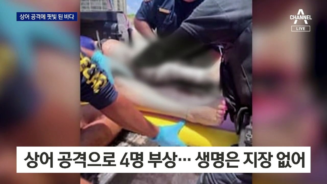 美 해변 덮친 상어…피서객 4명 부상