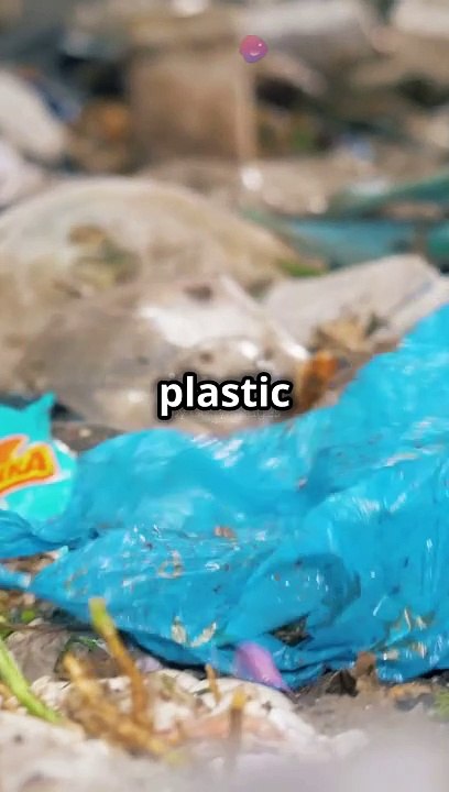 Ditch Plastic! Use Beeswax Wraps