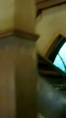 Love confessions  Descendents of the Sun  ALL IN 1 TRICKS_v720P