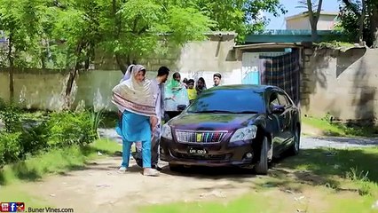 Hargala Melmana da khazo | Buner Vines