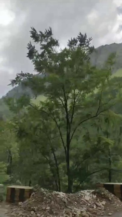 Mountain view