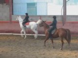 Mise en Selle Obstacle Galop 4