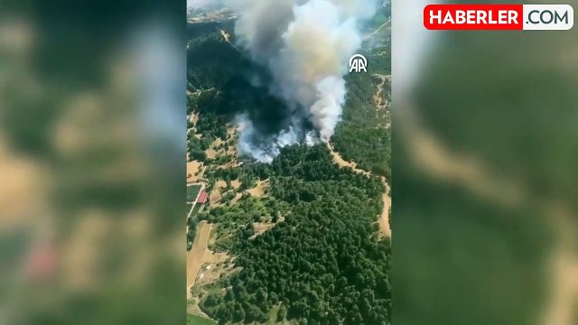İzmir Ödemiş'te orman yangını! Ekipler zamana karşı yarış başlattı