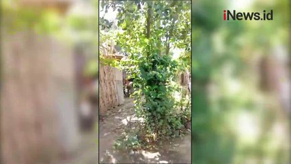 Suami di Probolinggo Tega Bacok Istri, Diduga Gegara Himpitan Ekonomi dan Pengaruh Miras