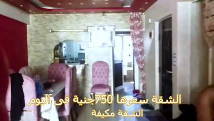 A trip from mansoura to alexandria city  egypt