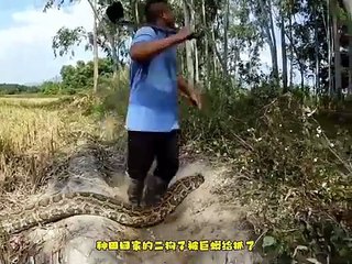 Comedy,funny,chines,