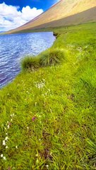 Experience the Magic of Deosai