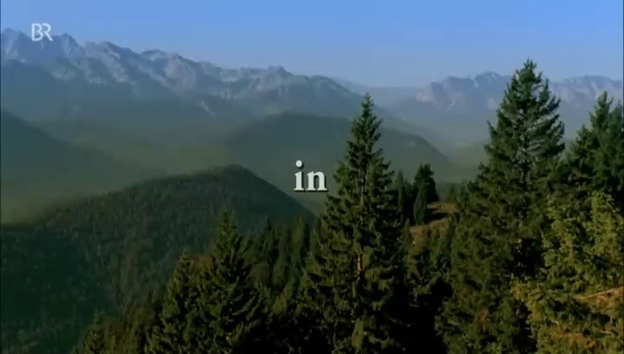 Grüß Gott, Herr Anwalt