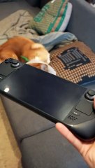 Mon SteamDeck OLED a un problème…