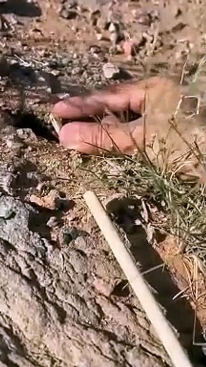 سائنسی معلومات