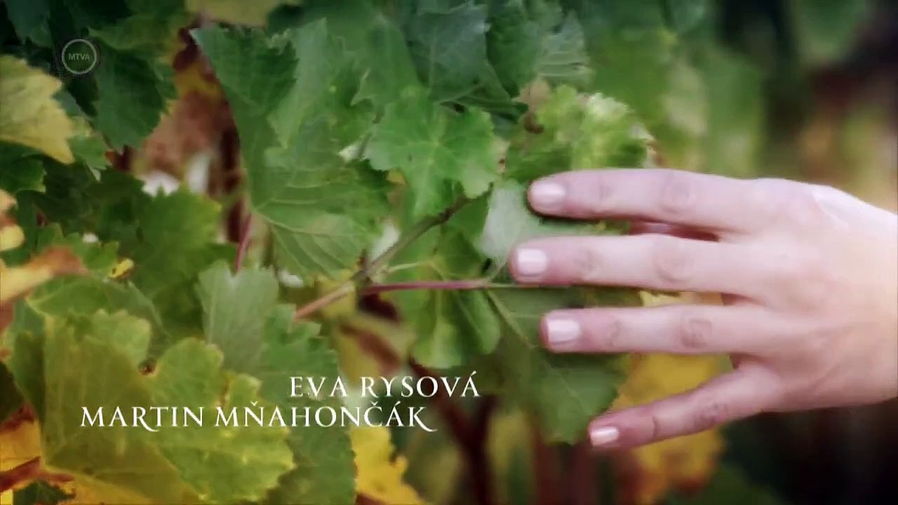Bor, mámor, szerelem_, 01_107