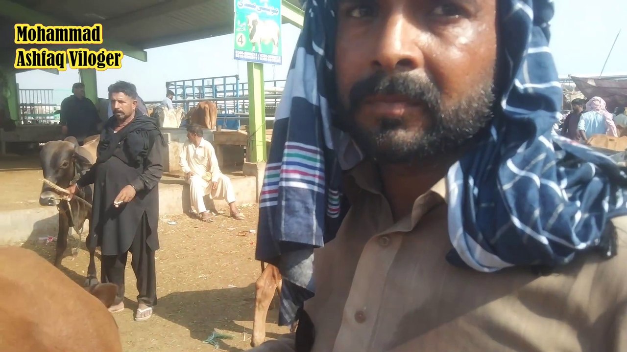 Multan mandi latest update