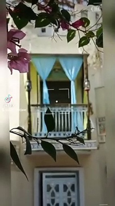 VIEW MODEL TOWN ||