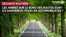 Les arbres sont-ils dangereux pour les usagers de la route ?