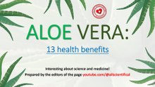 Aloe Vera: 13 Evidence of Its Health Benefits