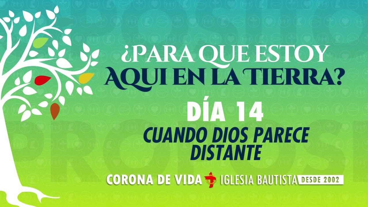 DIA 14 - Una Vida con Propósito - 40DCP