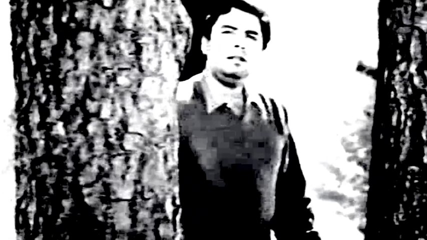 mujh ko aawaz de tu kahan hai, mehdi hassan