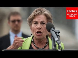 Jan Schakowsky Calls For Childcare Provisions From Employers To Get 'Women More Involved'