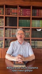 İlahiyatçı Osman Egin'den 'Ben Patronum, Çalışmam' Tavrına Sert Eleştiri 💼