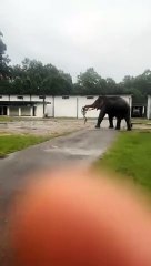 Entertainment improving skills