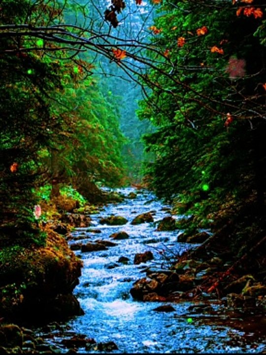 Save Environment