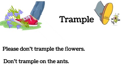 Boost Your English Vocabulary with Easy Words 📚