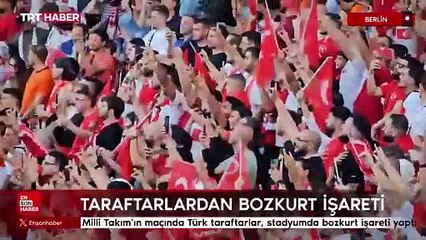 Milli Takım'ın maçında Türk taraftarlar, stadyumda bozkurt işareti yaptı