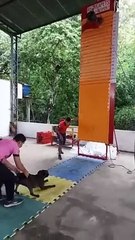 Trending Funny Videos  | Best Comedy videos | Very Funny