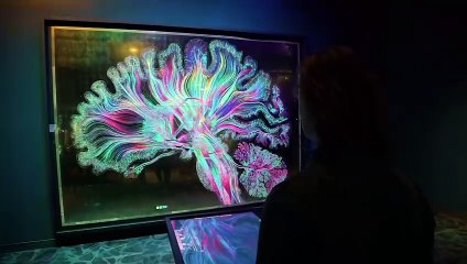 Aula 10 - Aprender a ouvir com o coração