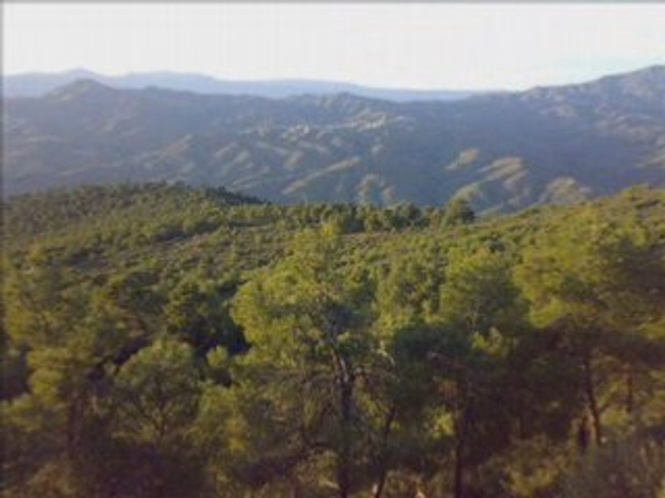 LA KABYLIE NOTRE MERE PATRIE