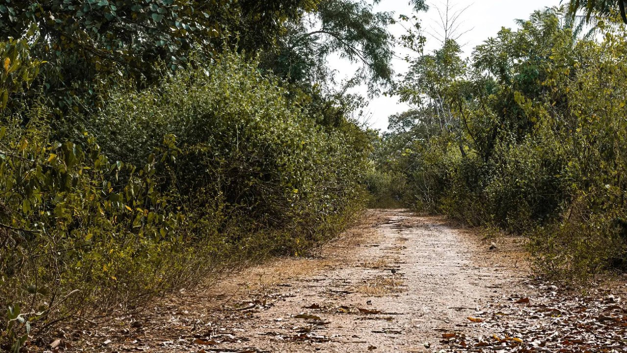 Un joven de 17 años fue asesinado mientras se dirigía a su escuela en zona rural de Andes, Antioquia