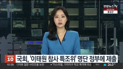 국회, '이태원참사 특조위' 명단 정부에 제출