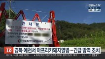 경북 예천서 아프리카돼지열병…긴급 방역 조치