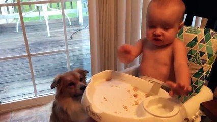 Cutest Babies Play With Dogs And Cats Compilation __ Cool Peachy