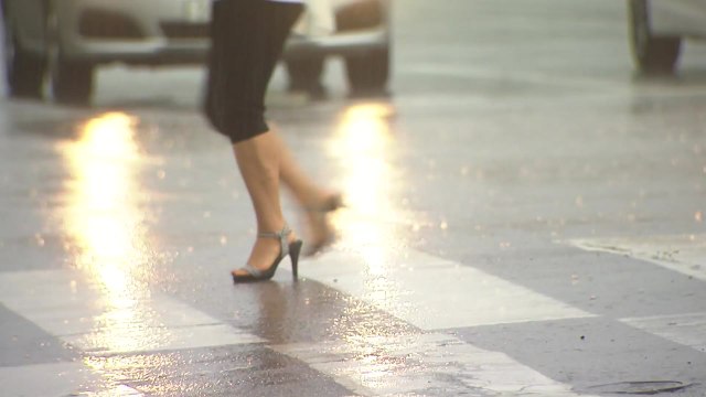 [날씨] 충청·남부 곳곳 장맛비...낮 동안 소강, 무더위 기승 / YTN