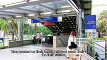 Heartwarming Tale of a Loyal Dog Waiting at the Train Station!