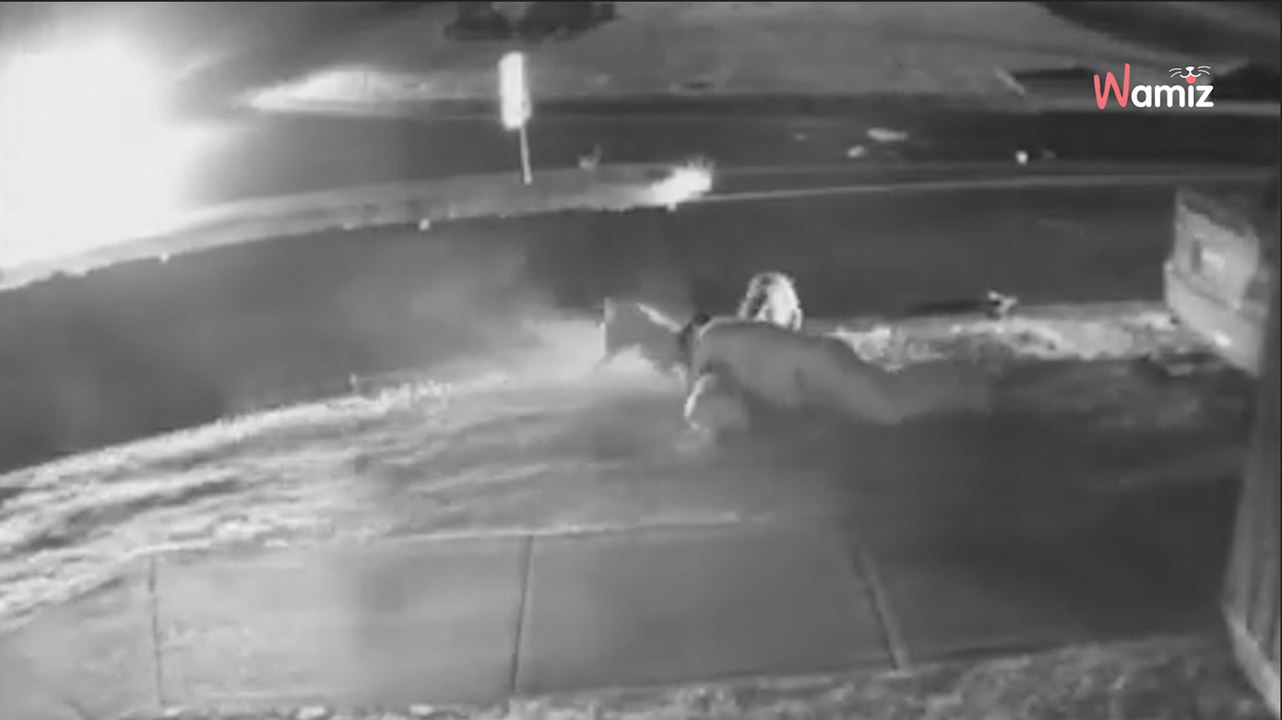 Überwachungskamera: Mann riskiert nachts sein Leben, als er versteht, was auf der Straße los ist