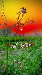 Salam Ya Hussain(a.s)#salam #Yahussain #hussainiat