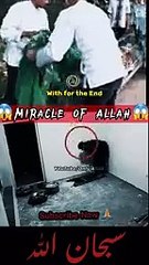 Miracle_of_Allahالله_أكبرﷻ_#youtubeshorts#viral#shortvideo#foryou#viralvideo#shorts#islam#allah_(144p)